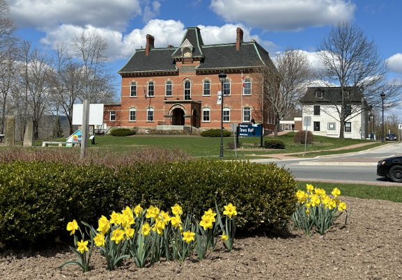 TH_20230612_Town Hall and Roundabout Flowers (1)