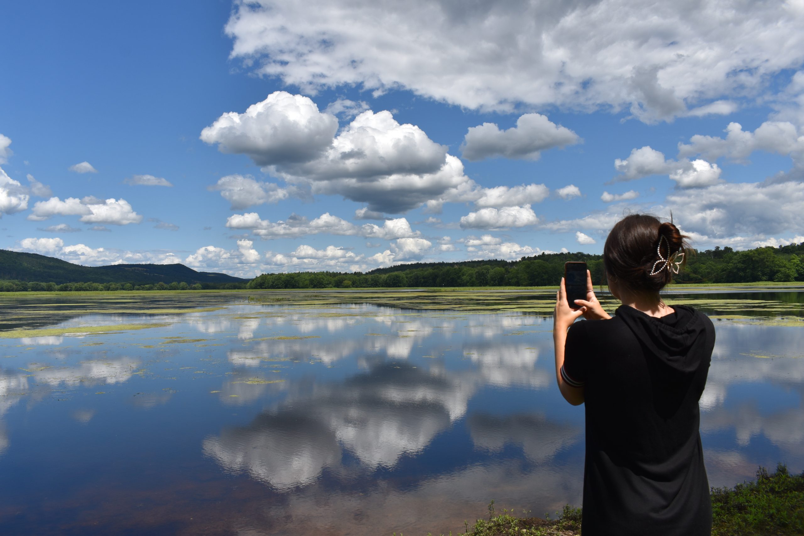 DPP_20230830_marsh (5)